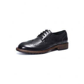 Pánska Spoločenská Obuv Exquisite Brogues