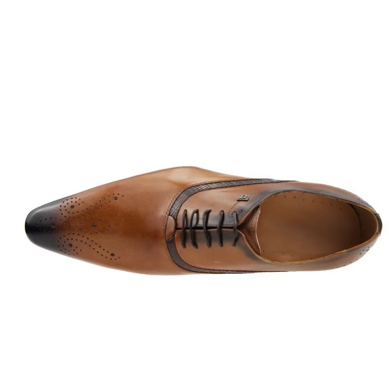 Pánska Spoločenská Obuv Modish Wedding Brogues - Hnedá