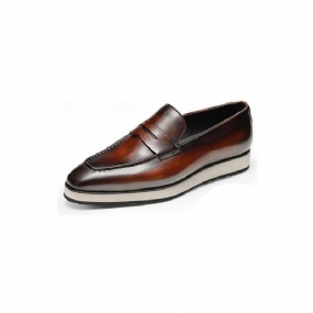 Pánske Mokasíny Exotic Pointed Toe Slip-on Brogues